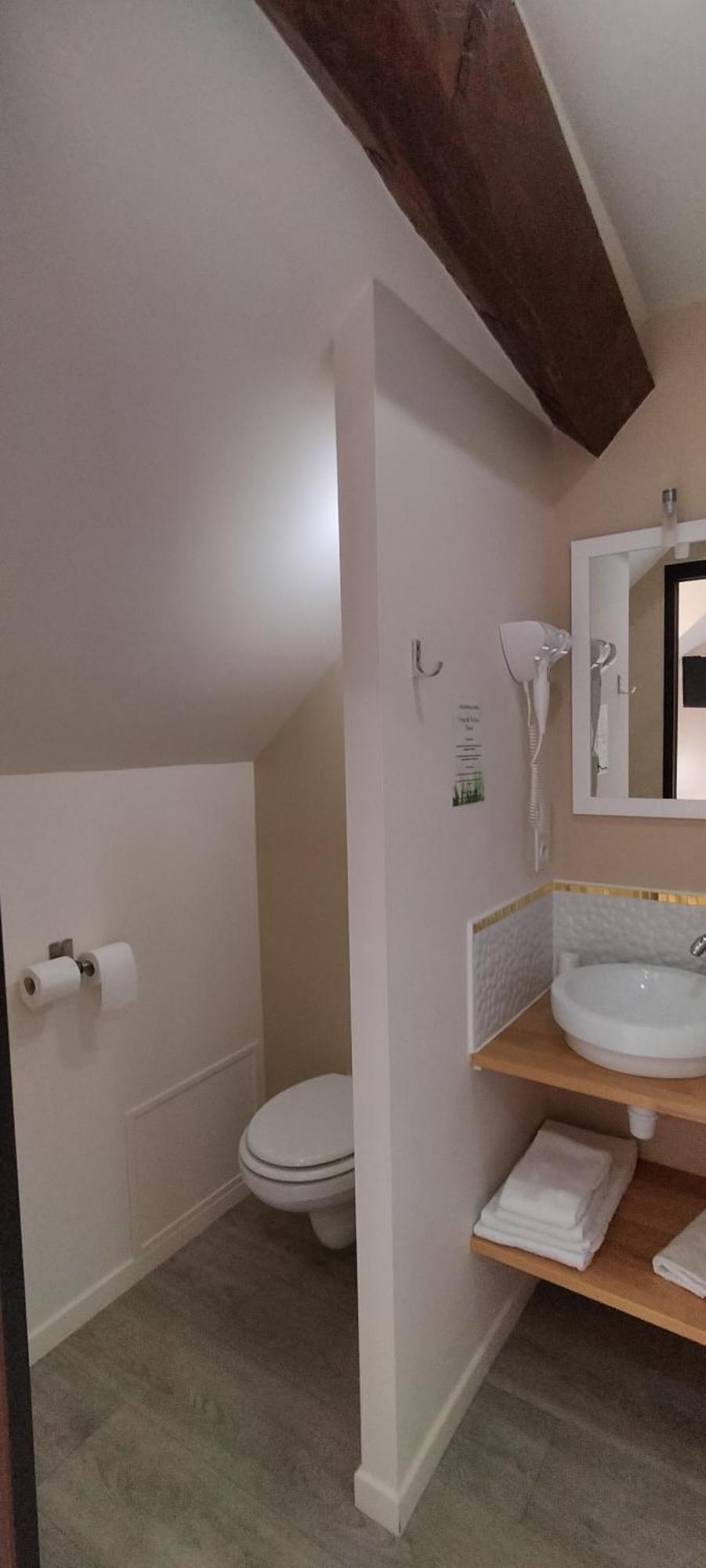 Hotel Restaurant Le Moulin De La Renne Adults Only Proche Zoo De Beauval Thesee Luaran gambar